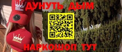 шишки Обь