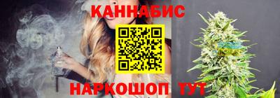 шишки Обь