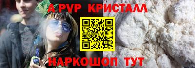 шишки Обь